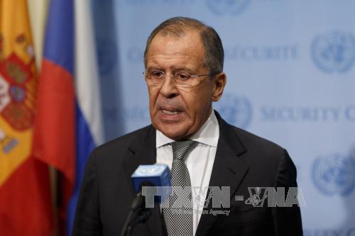 Russia, South Korea call for denuclearization in the Korean peninsula - ảnh 1